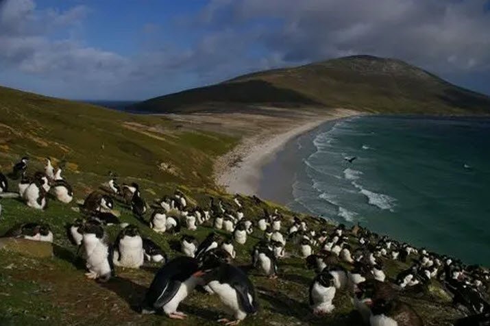Weddell Island, United Kingdom